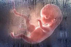 Karyawan K3 Temukan Janin Bayi di Septic Tank Rumah Sakit
